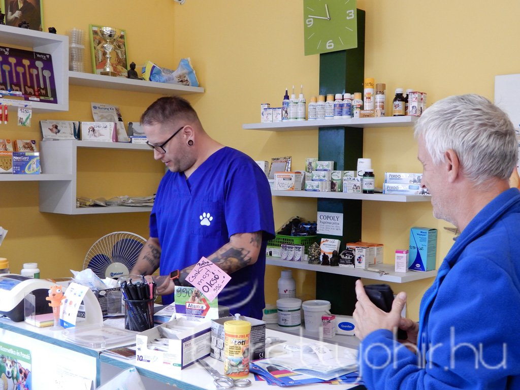 10 éves a Pethouse állatorvosi rendelő 20